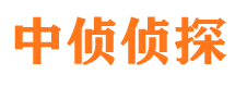 平遥市侦探调查公司